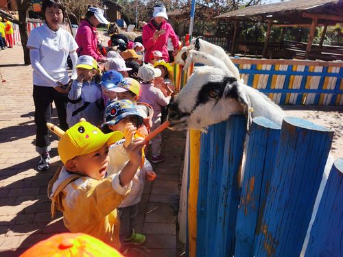 电机厂幼儿园小三班